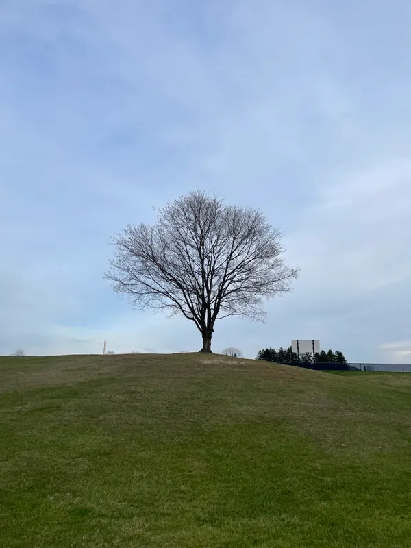 Alison, April 2023