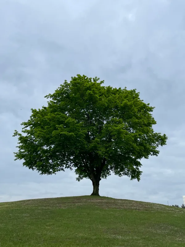 Alison, April 2023