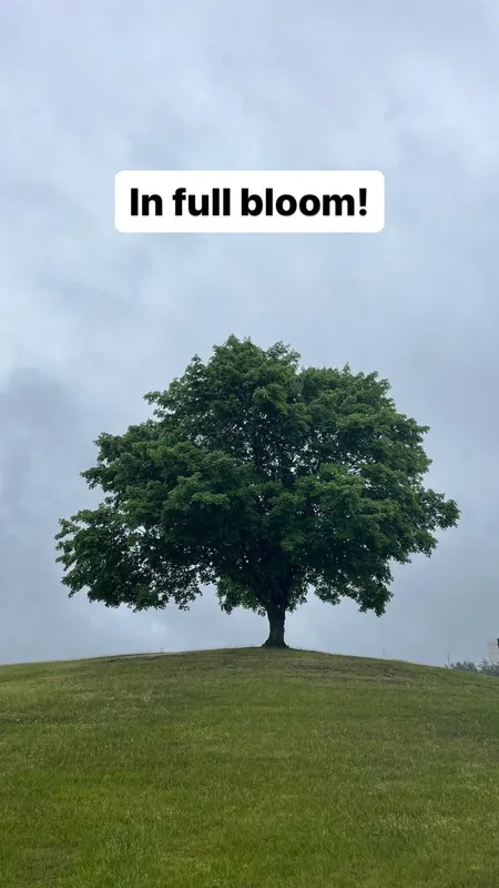 Alison, May 2024
