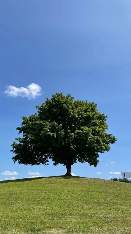 Alison, August 2024