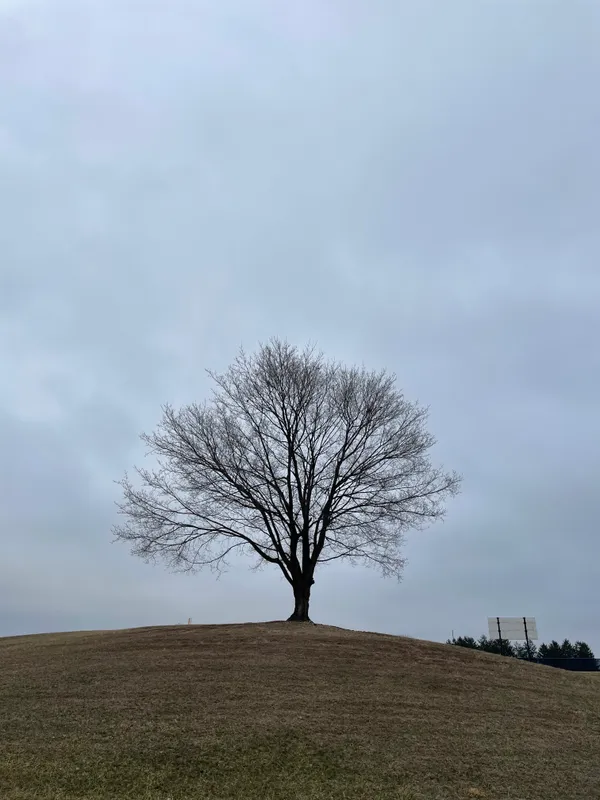 Alison, March 2025